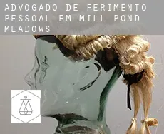 Advogado de ferimento pessoal em  Mill Pond Meadows
