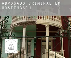 Advogado criminal em  Hostenbach