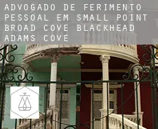 Advogado de ferimento pessoal em  Small Point-Broad Cove-Blackhead-Adams Cove