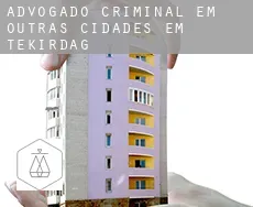 Advogado criminal em  Outras cidades em Tekirdag