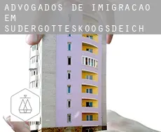 Advogados de imigração em Südergotteskoogsdeich