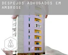 Despejos advogados em  Ambrose