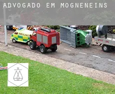 Advogado em  Mogneneins
