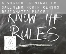 Advogado criminal em  Salineno North
