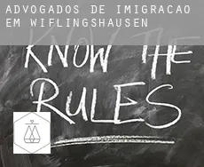 Advogados de imigração em Wiflingshausen