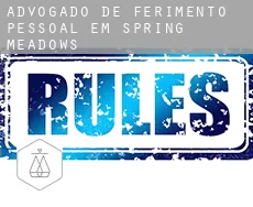 Advogado de ferimento pessoal em Spring Meadows