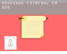 Advogado criminal em  Bor