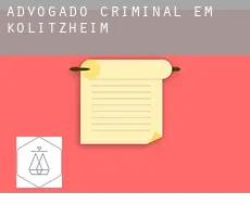 Advogado criminal em Kolitzheim