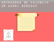 Advogados de falência em  Horní Benešov