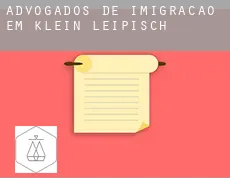 Advogados de imigração em  Klein Leipisch