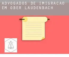Advogados de imigração em  Ober-Laudenbach