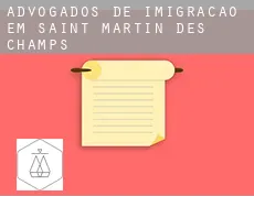 Advogados de imigração em  Saint-Martin-des-Champs