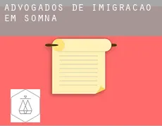 Advogados de imigração em  Sømna