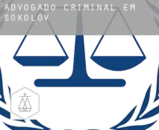 Advogado criminal em  Sokolov