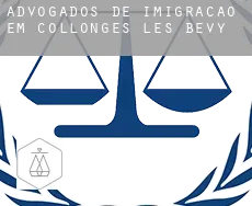 Advogados de imigração em Collonges-lès-Bévy