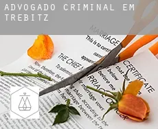 Advogado criminal em  Trebitz