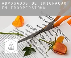 Advogados de imigração em  Trooperstown
