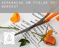 Separação em  Fields of Harvest