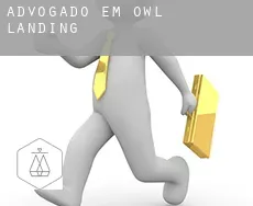 Advogado em  Owl Landing