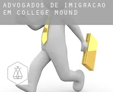 Advogados de imigração em  College Mound