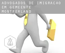 Advogados de imigração em  Gemeente Montferland
