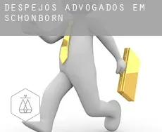 Despejos advogados em  Schönborn