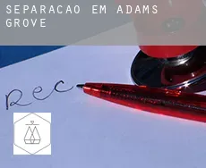 Separação em  Adams Grove