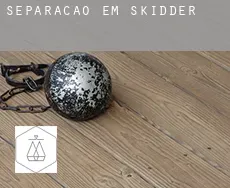 Separação em  Skidder