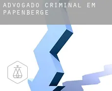 Advogado criminal em  Papenberge