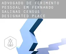 Advogado de ferimento pessoal em Fernando Salinas