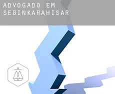 Advogado em  Şebinkarahisar