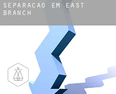 Separação em  East Branch