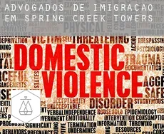 Advogados de imigração em  Spring Creek Towers